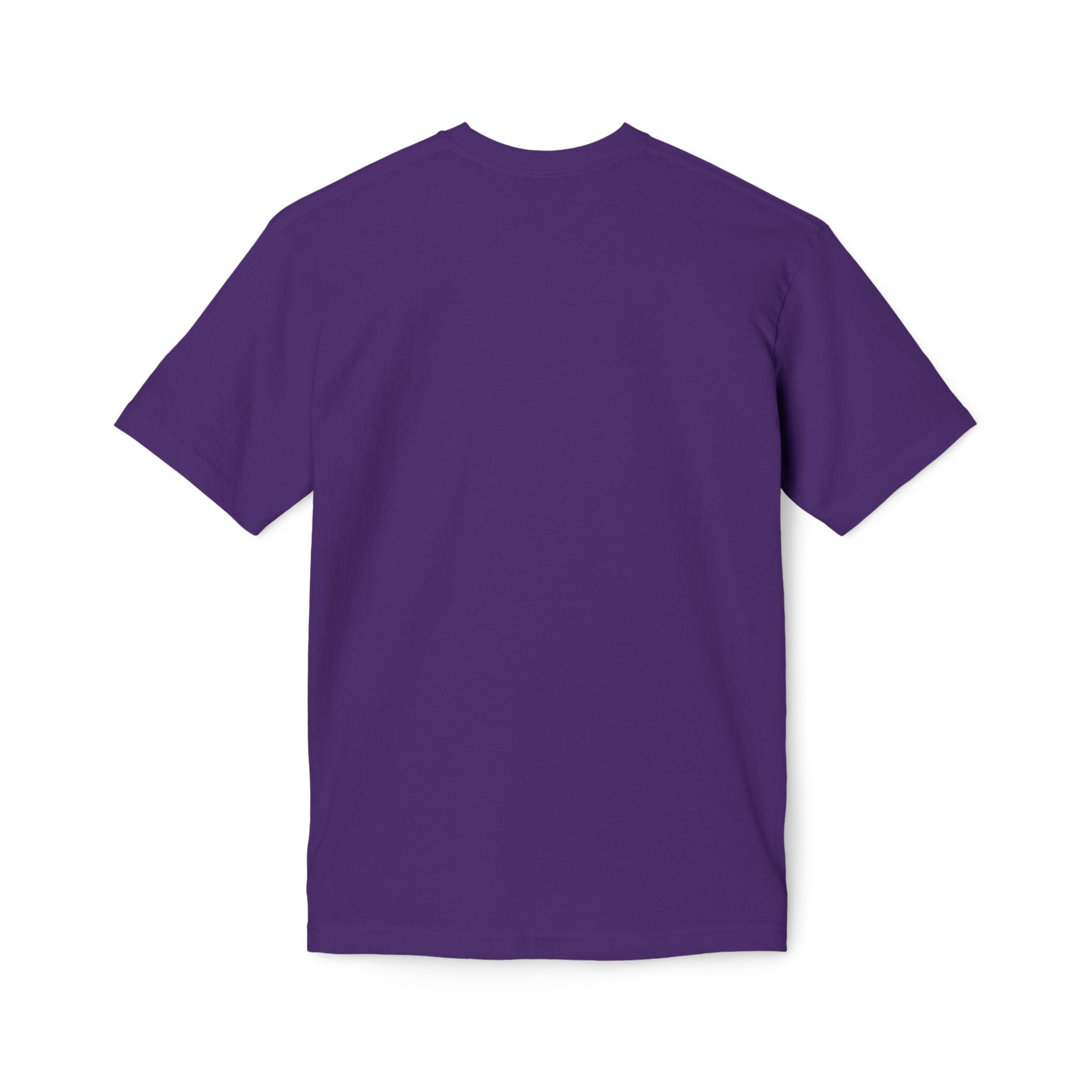LSU Coaches Funny Shirt | SEC Football Meme Tee | LSU Argyle Sweater Vest Graphic Tee