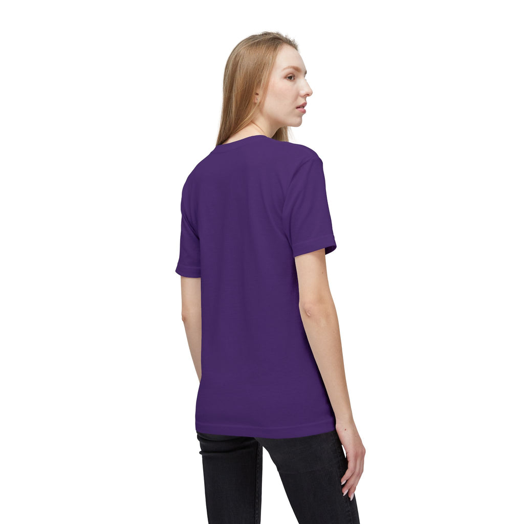 LSU Coaches Funny Shirt | SEC Football Meme Tee | LSU Argyle Sweater Vest Graphic Tee
